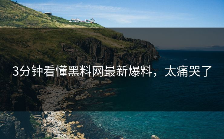 3分钟看懂黑料网最新爆料，太痛哭了