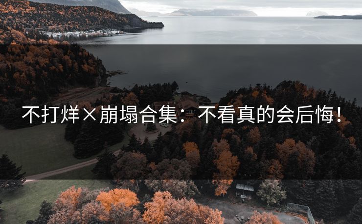不打烊×崩塌合集：不看真的会后悔！