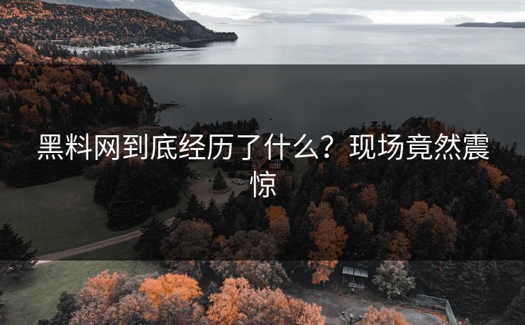 黑料网到底经历了什么？现场竟然震惊