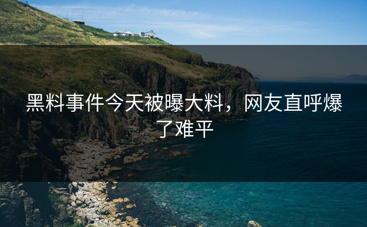 黑料事件今天被曝大料，网友直呼爆了难平