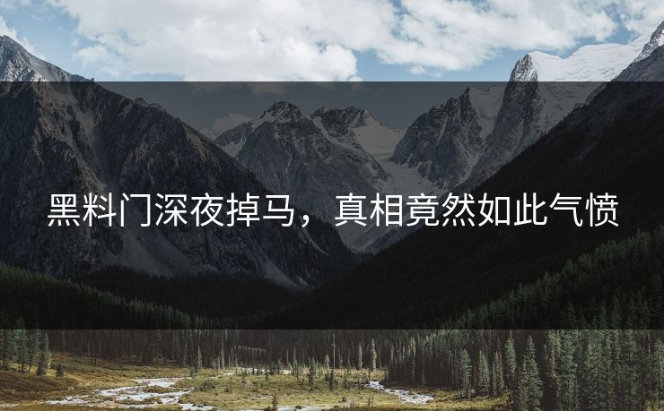 黑料门深夜掉马，真相竟然如此气愤