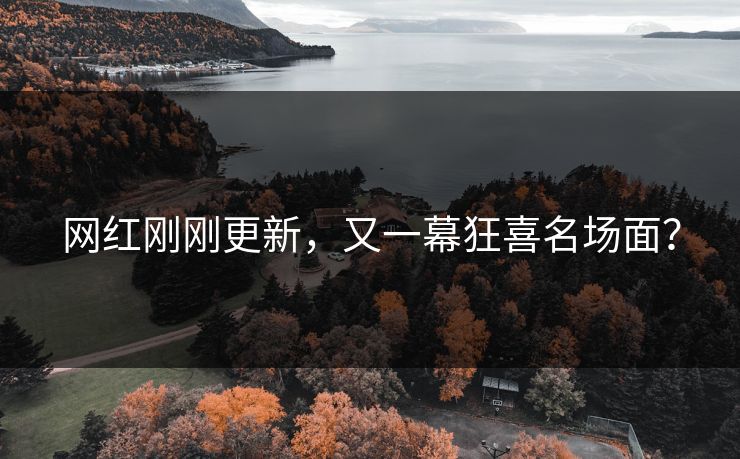 网红刚刚更新，又一幕狂喜名场面？