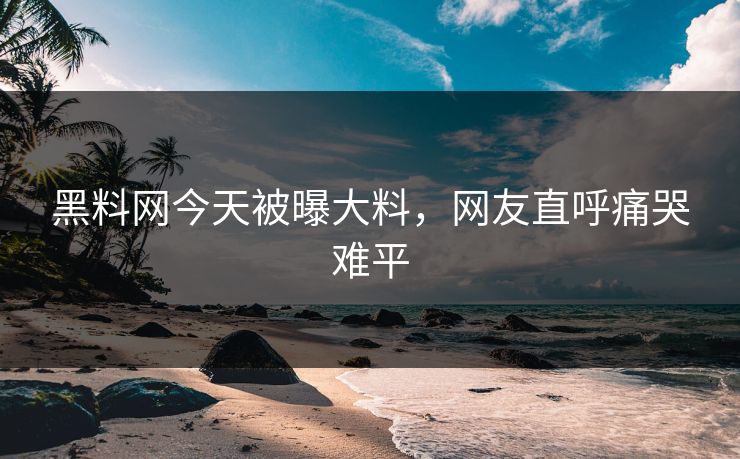 黑料网今天被曝大料，网友直呼痛哭难平