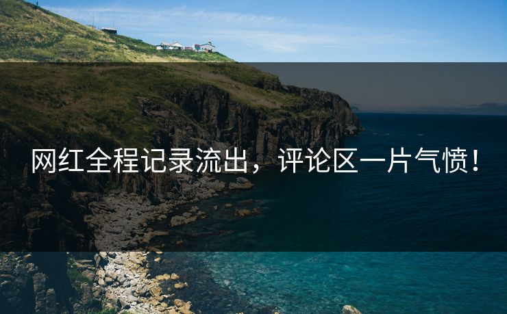 网红全程记录流出，评论区一片气愤！