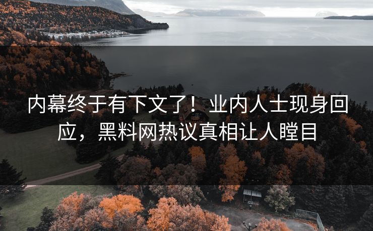 内幕终于有下文了！业内人士现身回应，黑料网热议真相让人瞠目