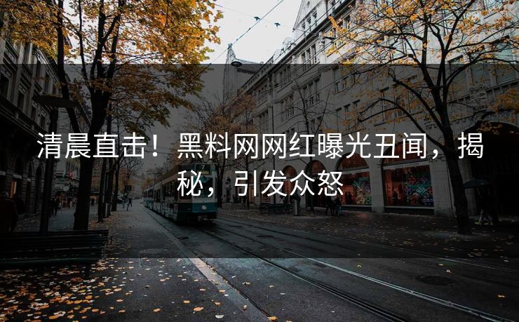 清晨直击！黑料网网红曝光丑闻，揭秘，引发众怒