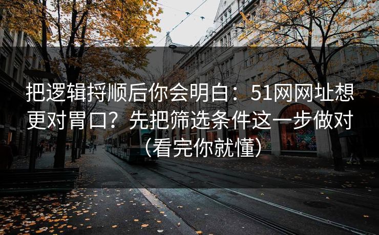 把逻辑捋顺后你会明白：51网网址想更对胃口？先把筛选条件这一步做对（看完你就懂）